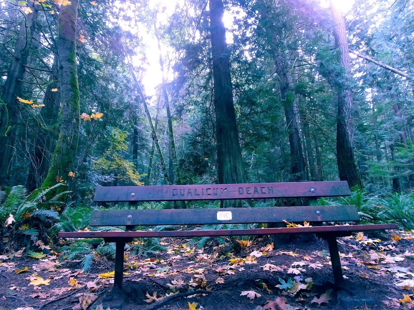 Forests