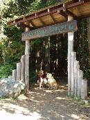 Qualicum Beach Heritage Forest