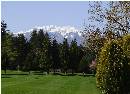 "QB Golf Course - View of Mt. Arrowsmith"