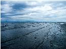 "Qualicum